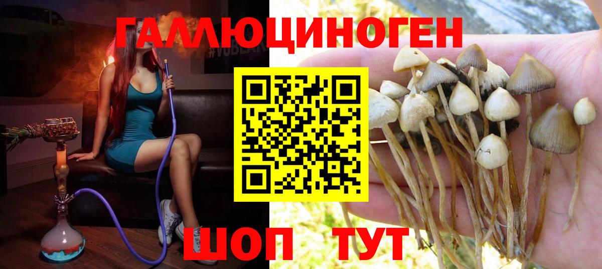 Псилоцибиновые грибы прущие грибы  Псилоцибиновые грибы MAGIC MUSHROOMS  Вход с VPN  сколько стоит  Костомукша 